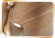 Speciality & Miscellaneous Additives for Oil /Solvent Systems